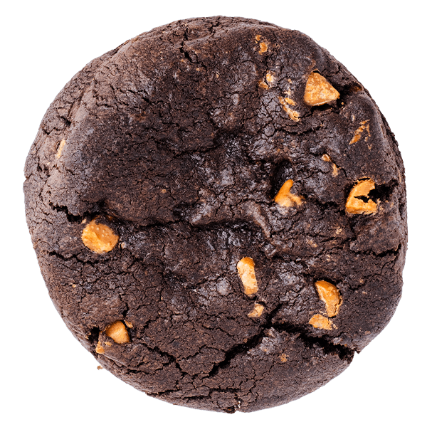 Dark Chocolate Peanut Butter Cookie